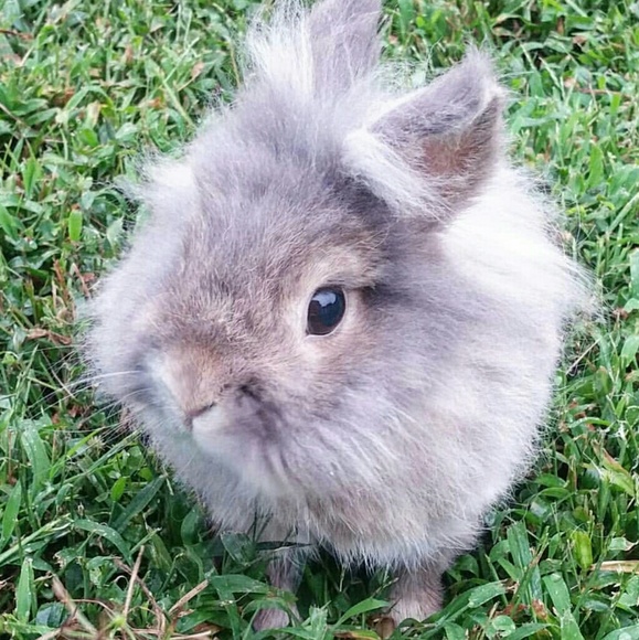 ⭐️ Meet Tara your Posh Affiliate Ambassador ⭐️ - Picture 7 of 8